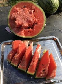 吃瓜网红北京,揭秘京城娱乐圈幕后故事 第2张 吃瓜网红北京,揭秘京城娱乐圈幕后故事 第2张