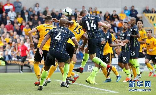 爆料狼队打假赛视频大全,一场足球界的悬疑大剧 第2张 爆料狼队打假赛视频大全,一场足球界的悬疑大剧 第2张